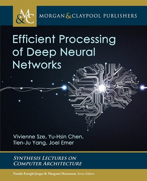 Efficient Processing of Deep Neural Networks (Paperback)