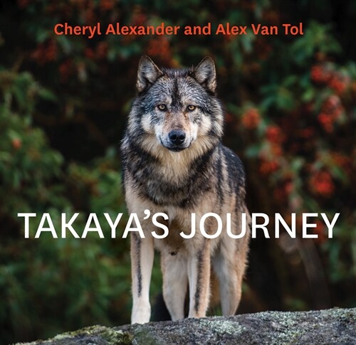 Takayas Journey (Paperback)