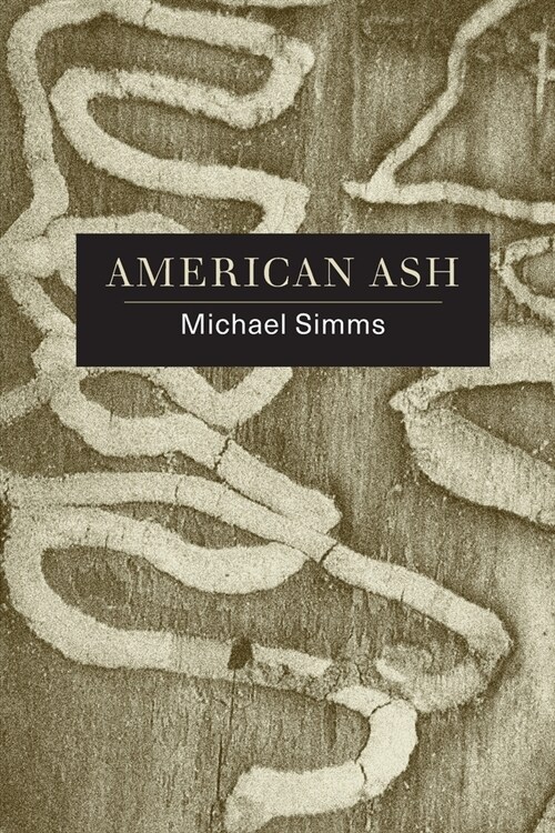 American Ash: Poems (Paperback)