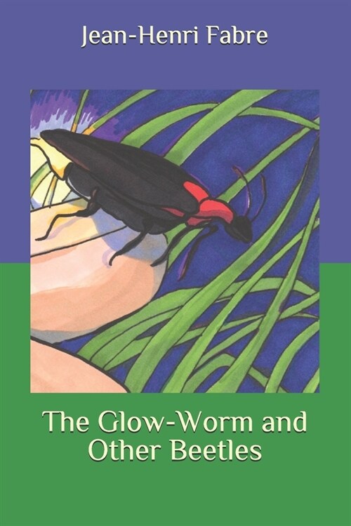 The Glow-Worm and Other Beetles (Paperback)