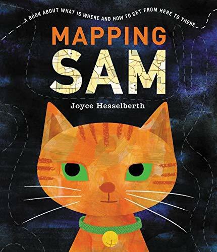 Mapping Sam (Paperback)