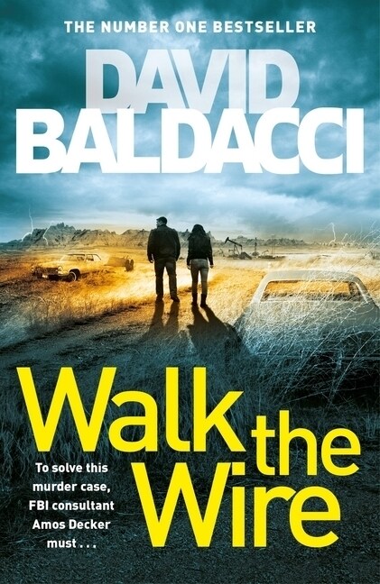 Walk the Wire (Paperback)