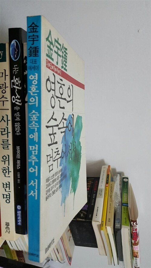 [중고] 김우종 대표에세이 (수필집)/ 영혼의 숲속에 멈추어 서서        -북심리-