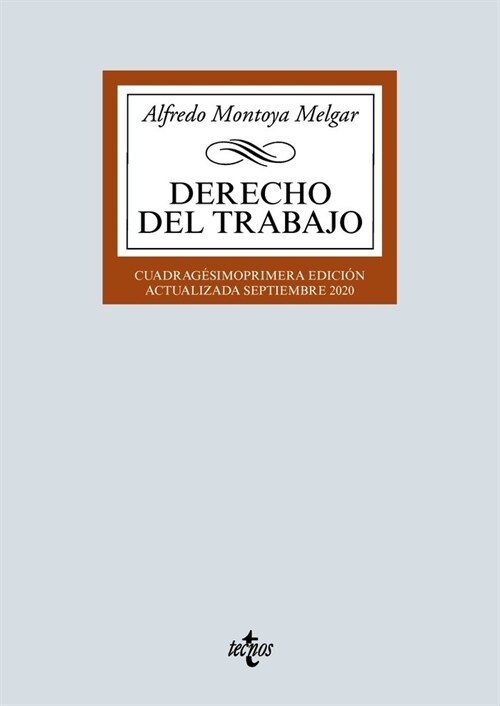 DERECHO DEL TRABAJO (Paperback)