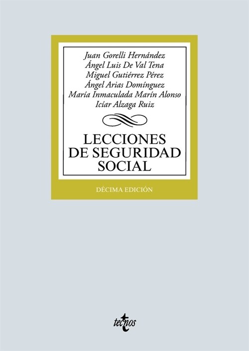 LECCIONES DE SEGURIDAD SOCIAL (Paperback)