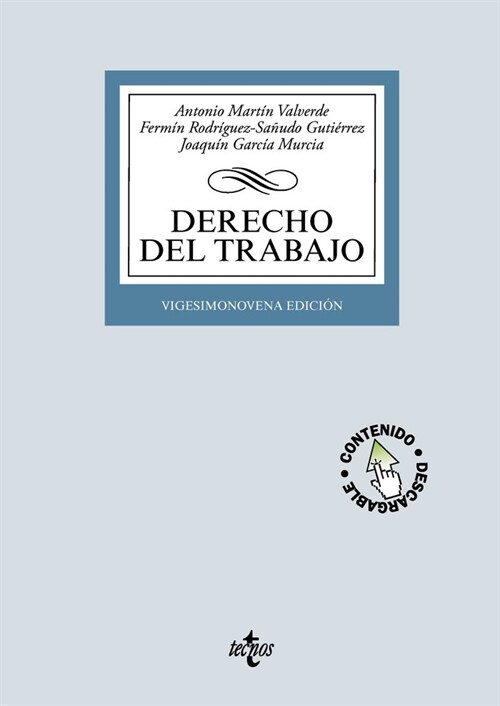 DERECHO DEL TRABAJO (Paperback)