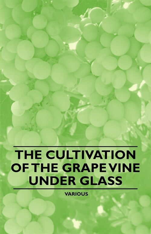 The Cultivation of the Grape Vine Under Glass (Paperback)