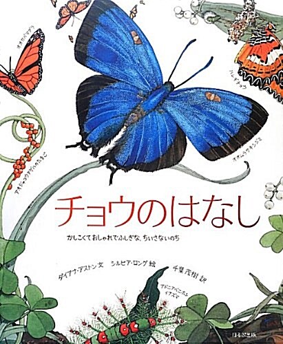 チョウのはなし―かしこくておしゃれでふしぎな、ちいさないのち (大型本)