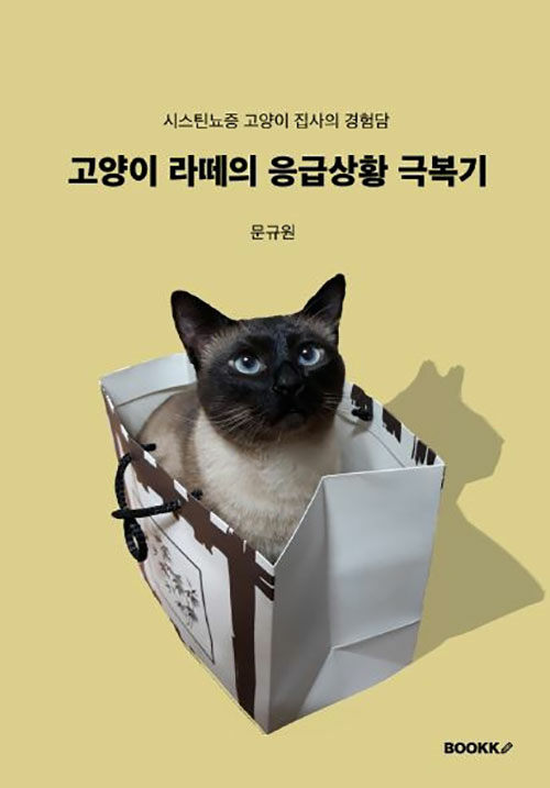 고양이 라떼의 응급상황 극복기