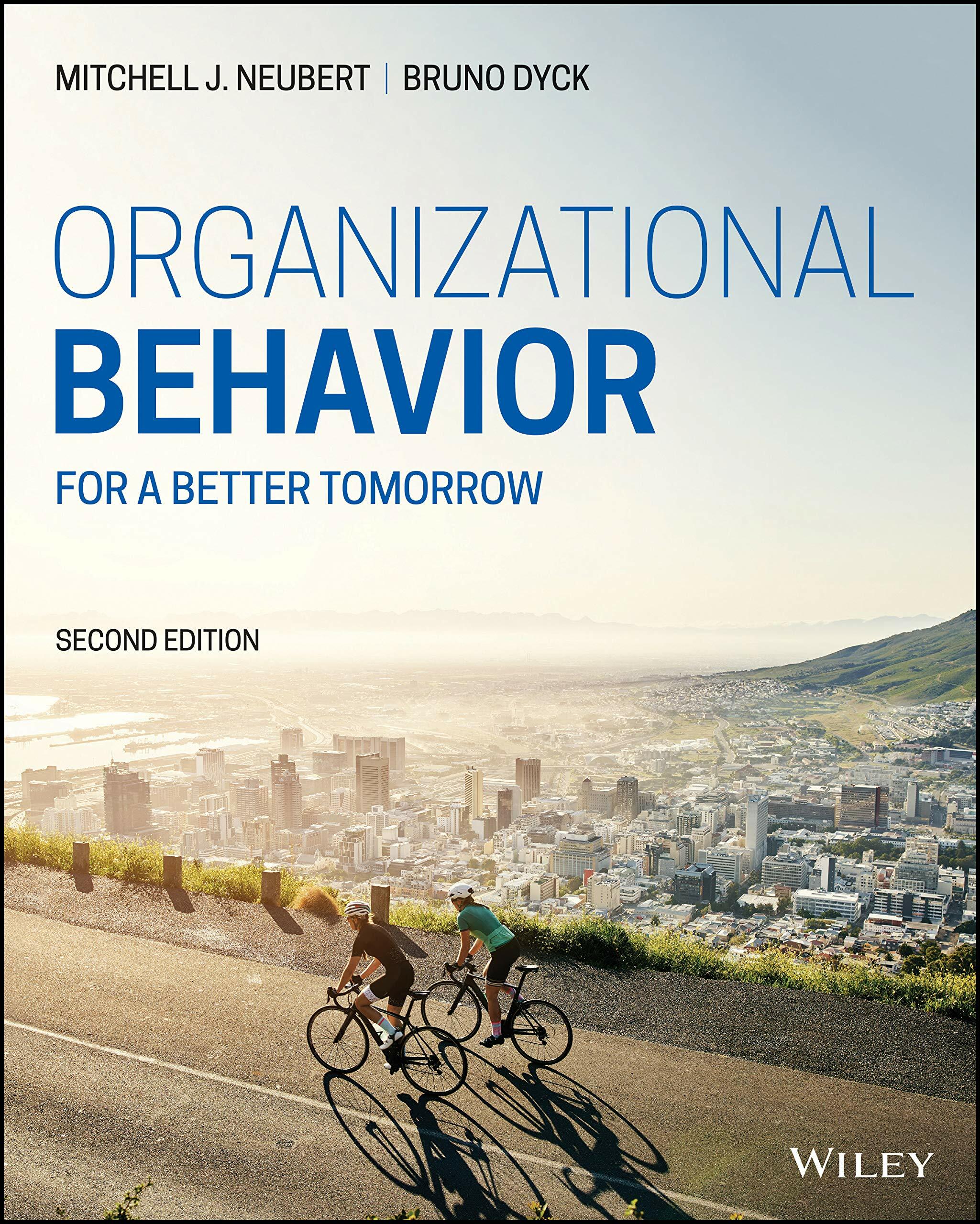 Organizational Behavior: For a Better Tomorrow (Paperback, 2)
