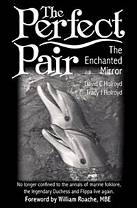 The Perfect Pair : The Enchanted Mirror (Hardcover)