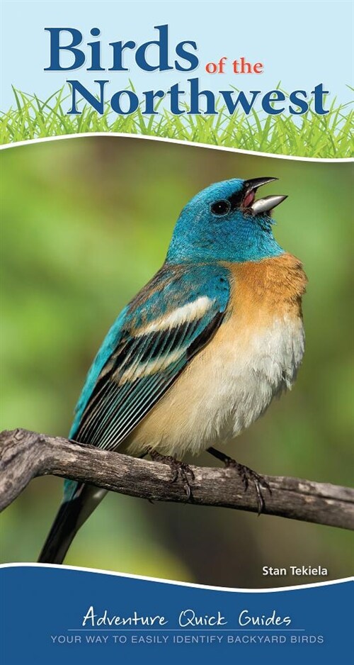 Birds of the Northwest: Your Way to Easily Identify Backyard Birds (Spiral)