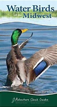 Water Birds of the Midwest: Your Way to Easily Identify Water Birds (Spiral)