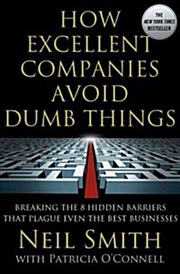 How Excellent Companies Avoid Dumb Things : Breaking the 8 Hidden Barriers That Plague Even the Best Businesses (Paperback)