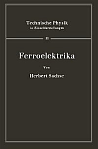 Ferroelektrika (Paperback, Softcover Repri)