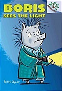 Boris Sees the Light (Hardcover)