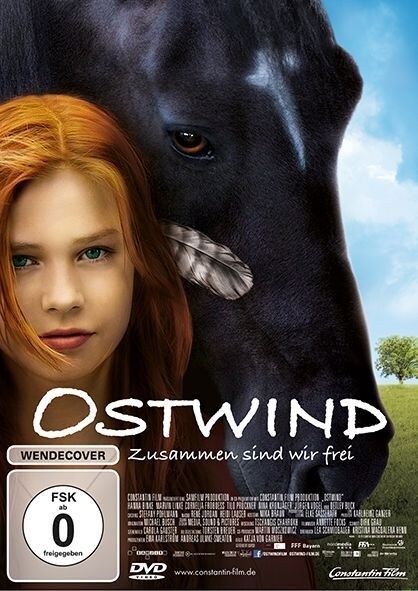 Ostwind - Zusammen sind wir frei, 1 DVD (DVD Video)