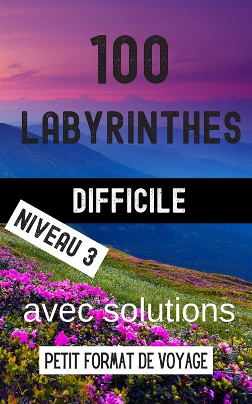 100 Labyrinthes Difficile Niveau 3 avec Solutions Petit Format de Voyage: Livre de Jeux de R?lexion pour Adultes. Cahier dActivit?Id?l pour les Vo (Paperback)