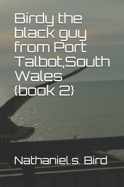 Birdy the black guy from Port Talbot South Wales {book 2} (Paperback)