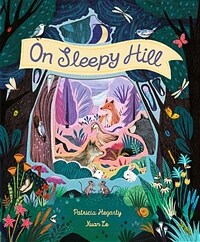 On Sleepy Hill (Hardcover)