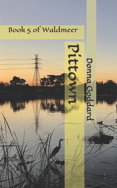 Pittown (Paperback)