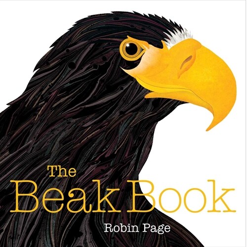 The Beak Book (Hardcover)