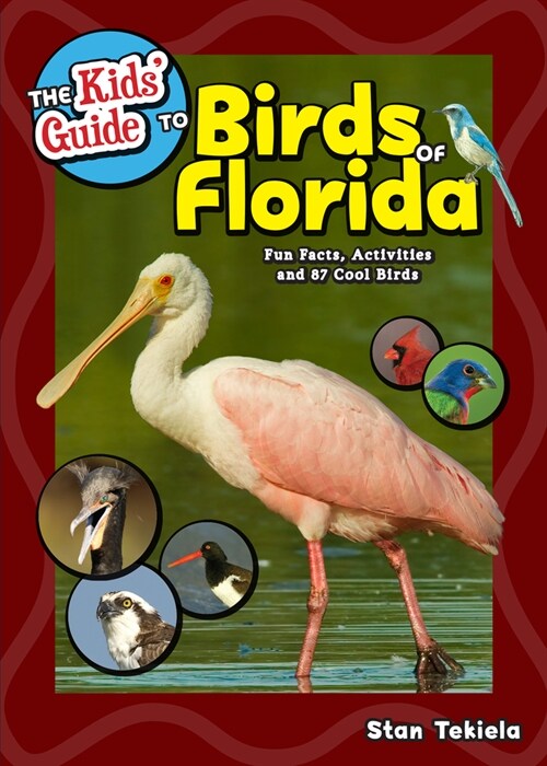 The Kids Guide to Birds of Florida: Fun Facts, Activities and 87 Cool Birds (Hardcover)