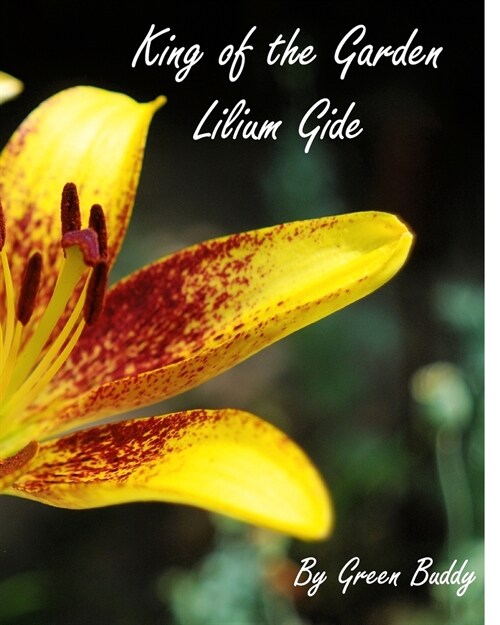 King of the garden - Lilium Gide (Paperback)