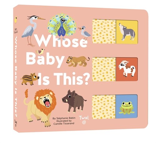 Whose Baby Is This? (Board Books)
