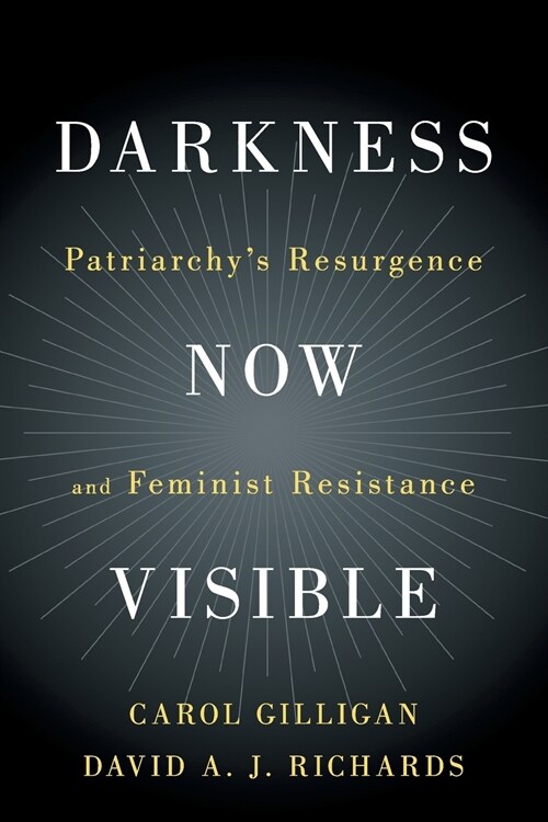 Darkness Now Visible : Patriarchys Resurgence and Feminist Resistance (Paperback)