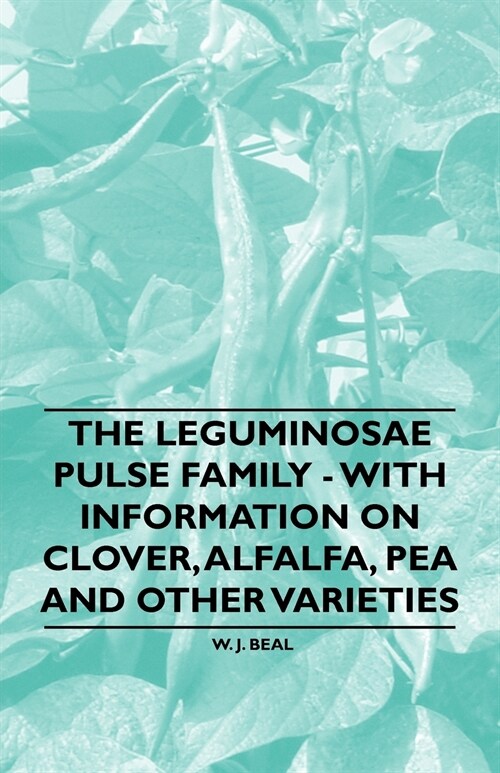 The Leguminosae Pulse Family - With Information on Clover, Alfalfa, Pea and Other Varieties (Paperback)