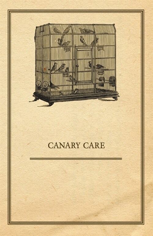 Canary Care (Paperback)