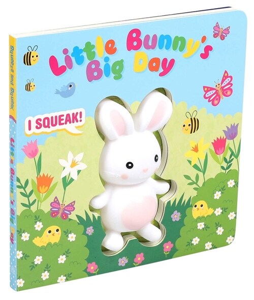 Little Bunnys Big Day (Board Books)