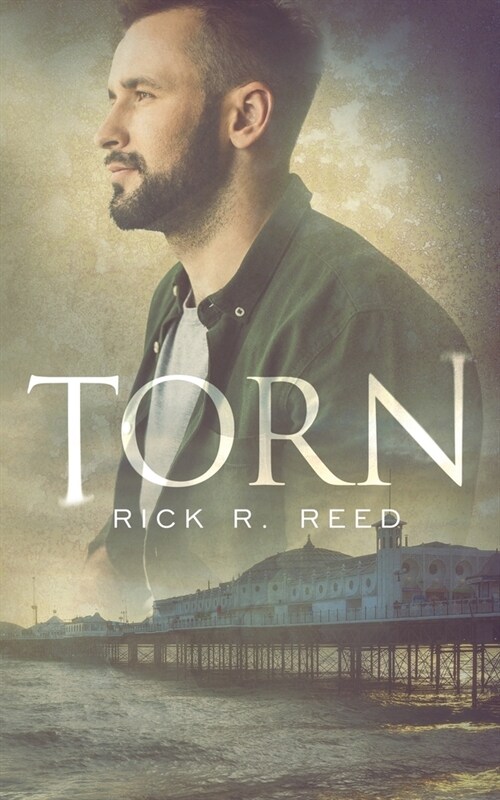 Torn (Paperback)