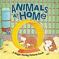 Animals At Home (Hardcover)