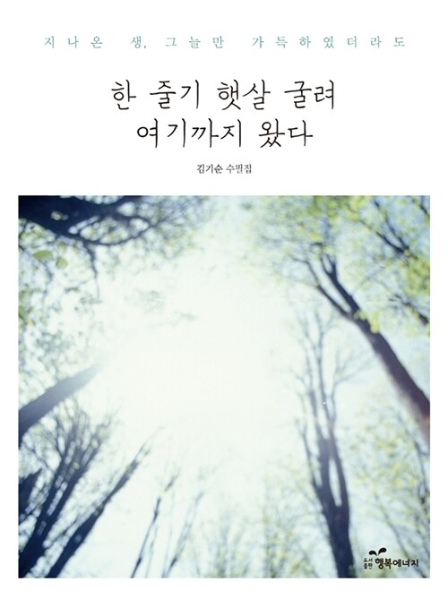 한 줄기 햇살 굴려 여기까지 왔다 커버