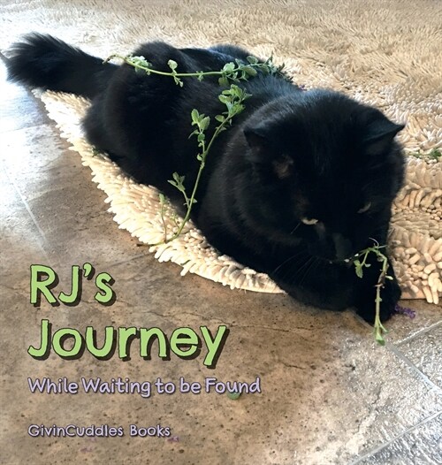 RJs Journey: While Waiting to be Found (Hardcover)
