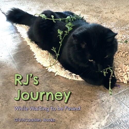 RJs Journey: While Waiting to be Found (Paperback)