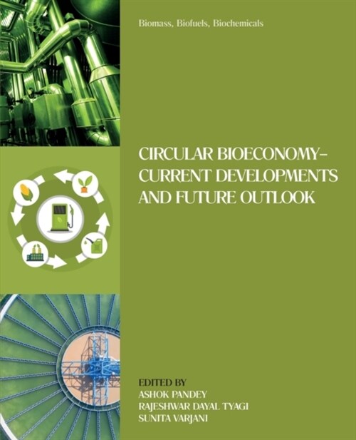 Biomass, Biofuels, Biochemicals: Circular Bioeconomy--Current Developments and Future Outlook (Paperback)