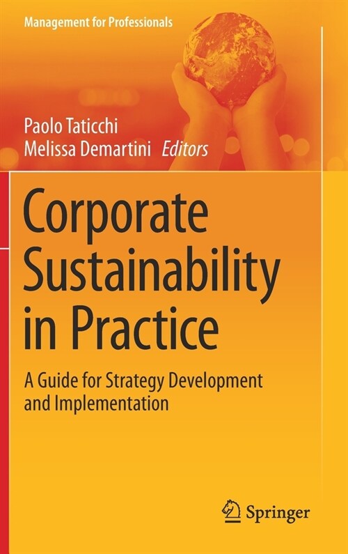 Corporate Sustainability in Practice: A Guide for Strategy Development and Implementation (Hardcover)