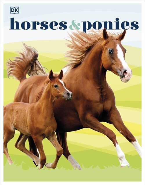 Horses & Ponies : Everything You Need to Know, From Bridles and Breeds to Jodhpurs and Jumping! (Hardcover)