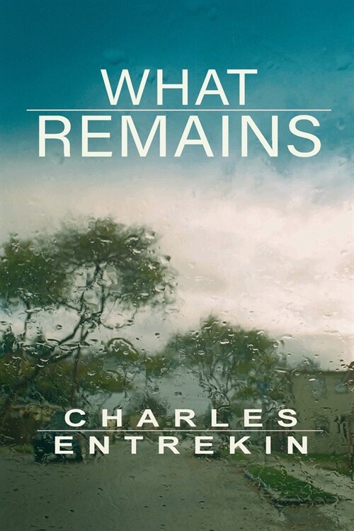 What Remains (Paperback)