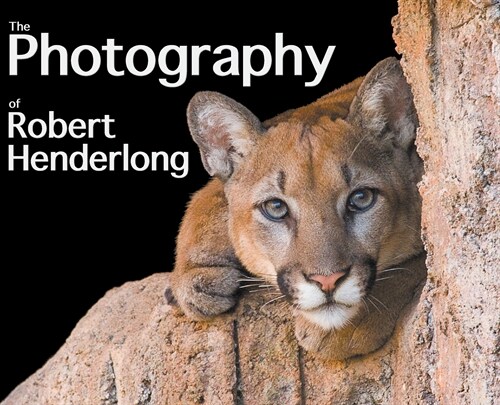 The Photography of Robert Henderlong (Hardcover)