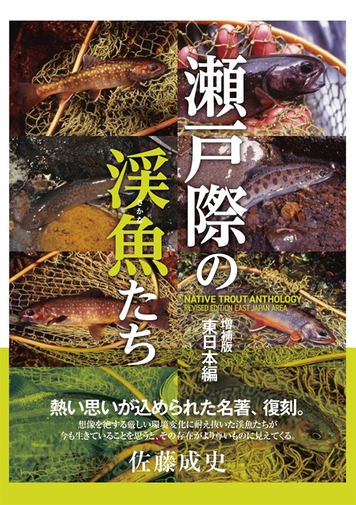 瀨戶際の溪魚たち 東日本編