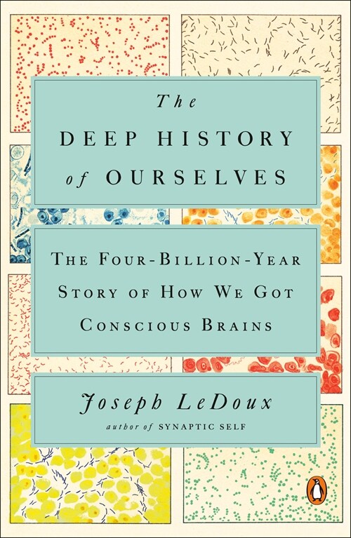 The Deep History of Ourselves: The Four-Billion-Year Story of How We Got Conscious Brains (Paperback)