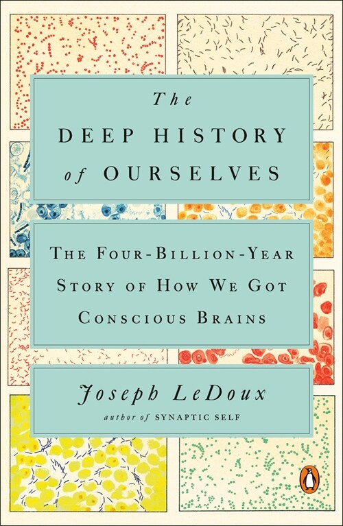 [중고] The Deep History of Ourselves: The Four-Billion-Year Story of How We Got Conscious Brains (Paperback)