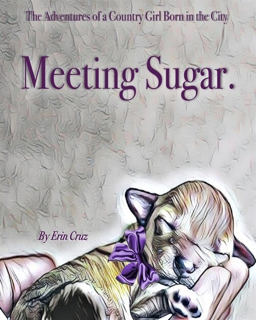 Meeting Sugar. (Paperback)