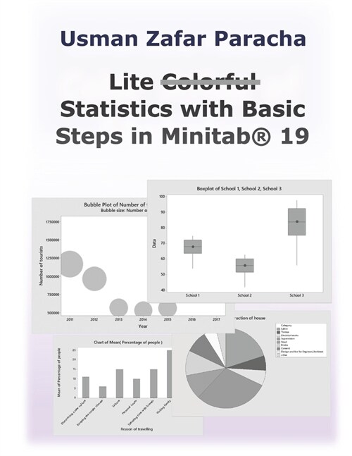 Lite Statistics with Basic Steps in Minitab(R) 19 (Paperback)