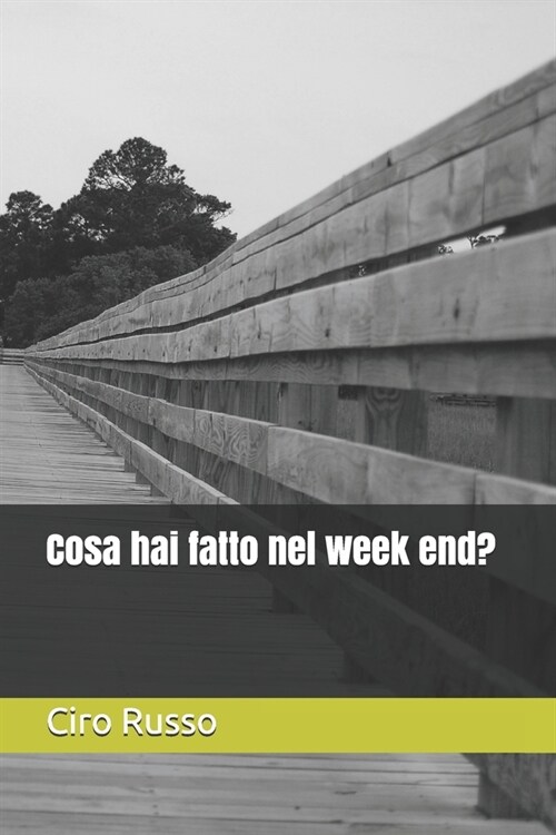 Cosa hai fatto nel week end? (Paperback)