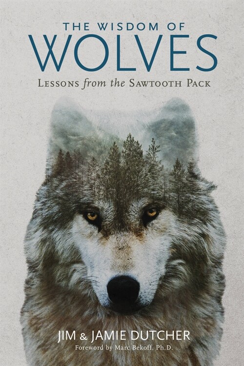 The Wisdom of Wolves: Lessons from the Sawtooth Pack (Paperback)